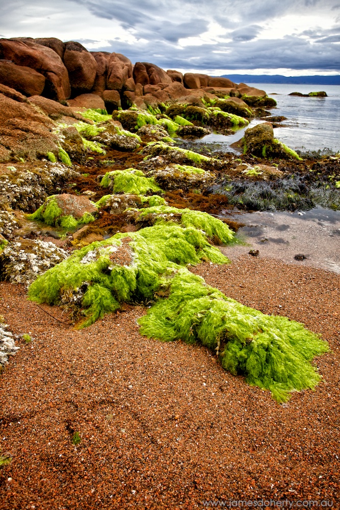 Red Rocks and Blue Sky, Freycinet Nat Park, Tasmania