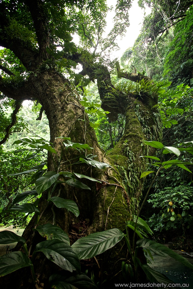 Mele Cascades, Port Vila Vanuatu